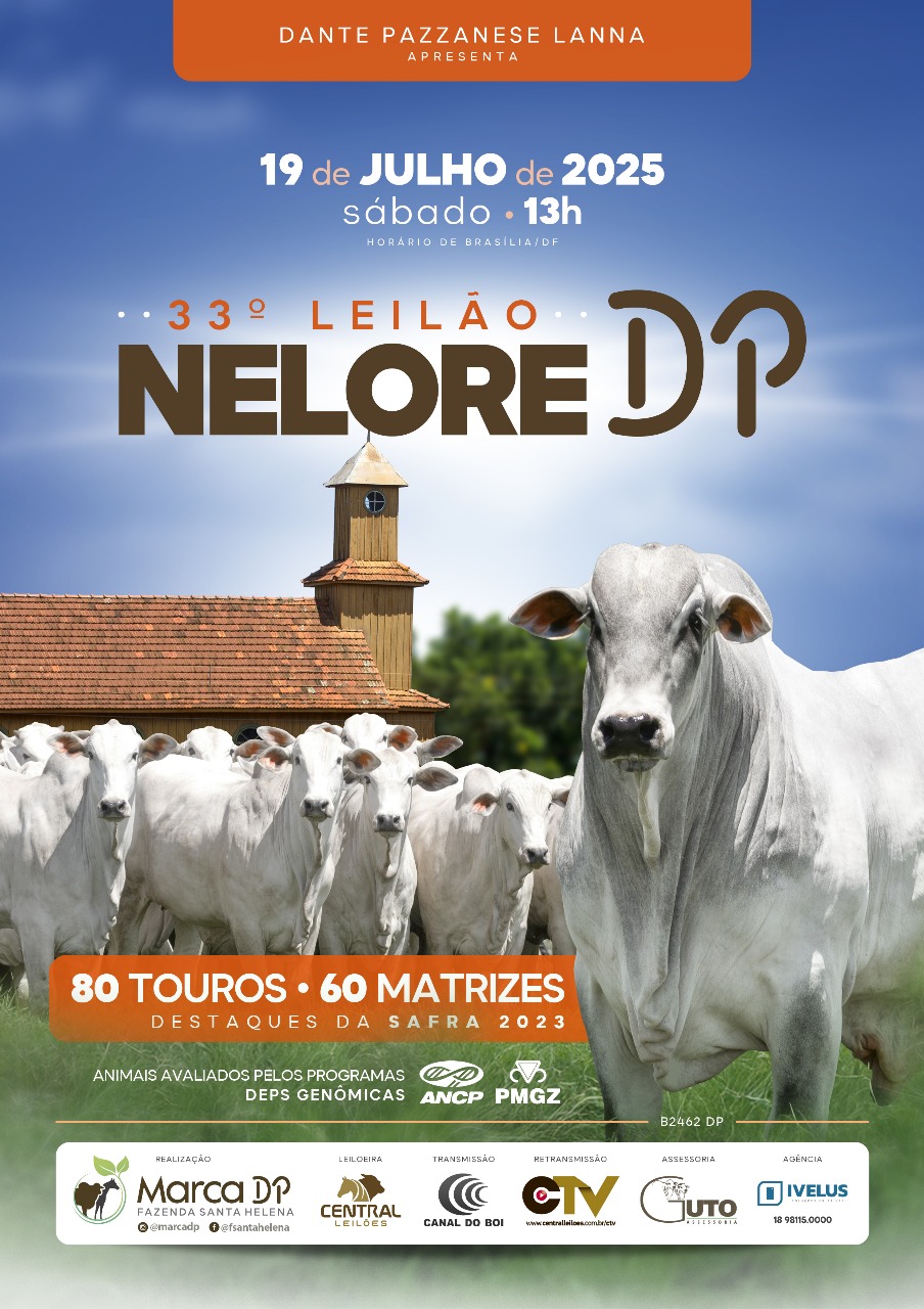 leilao_2025