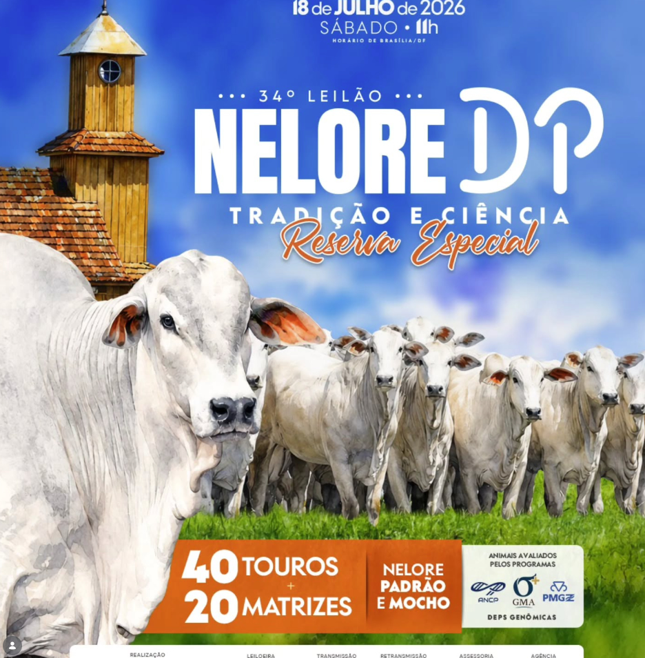 leilao_2026